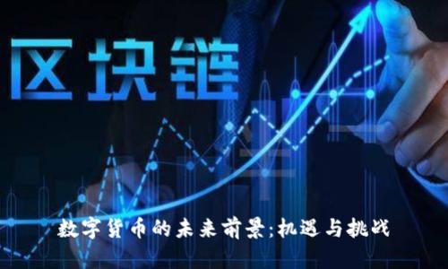 数字货币的未来前景：机遇与挑战