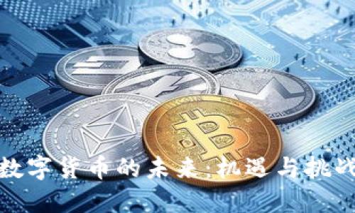 数字货币的未来：机遇与挑战