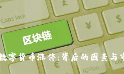 为什么数字货币涨停：背后的因素与市场分析