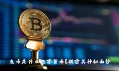 鬼币是什么数字货币？揭