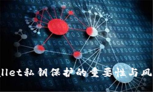  tpwallet私钥保护的重要性与风险分析